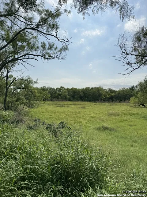 TBD E Gates Valley Poteet, TX 78065