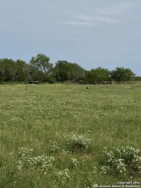 TBD E Gates Valley Poteet, TX 78065