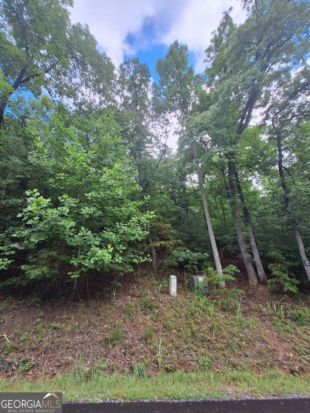 LOT 22 Meadow Brook TRL Morganton, GA 30560