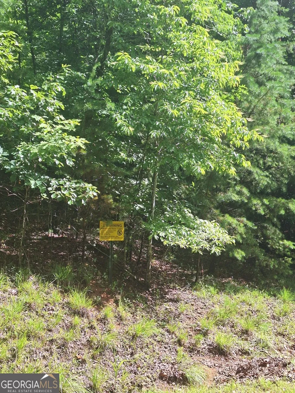 LOT 22 Meadow Brook TRL Morganton, GA 30560