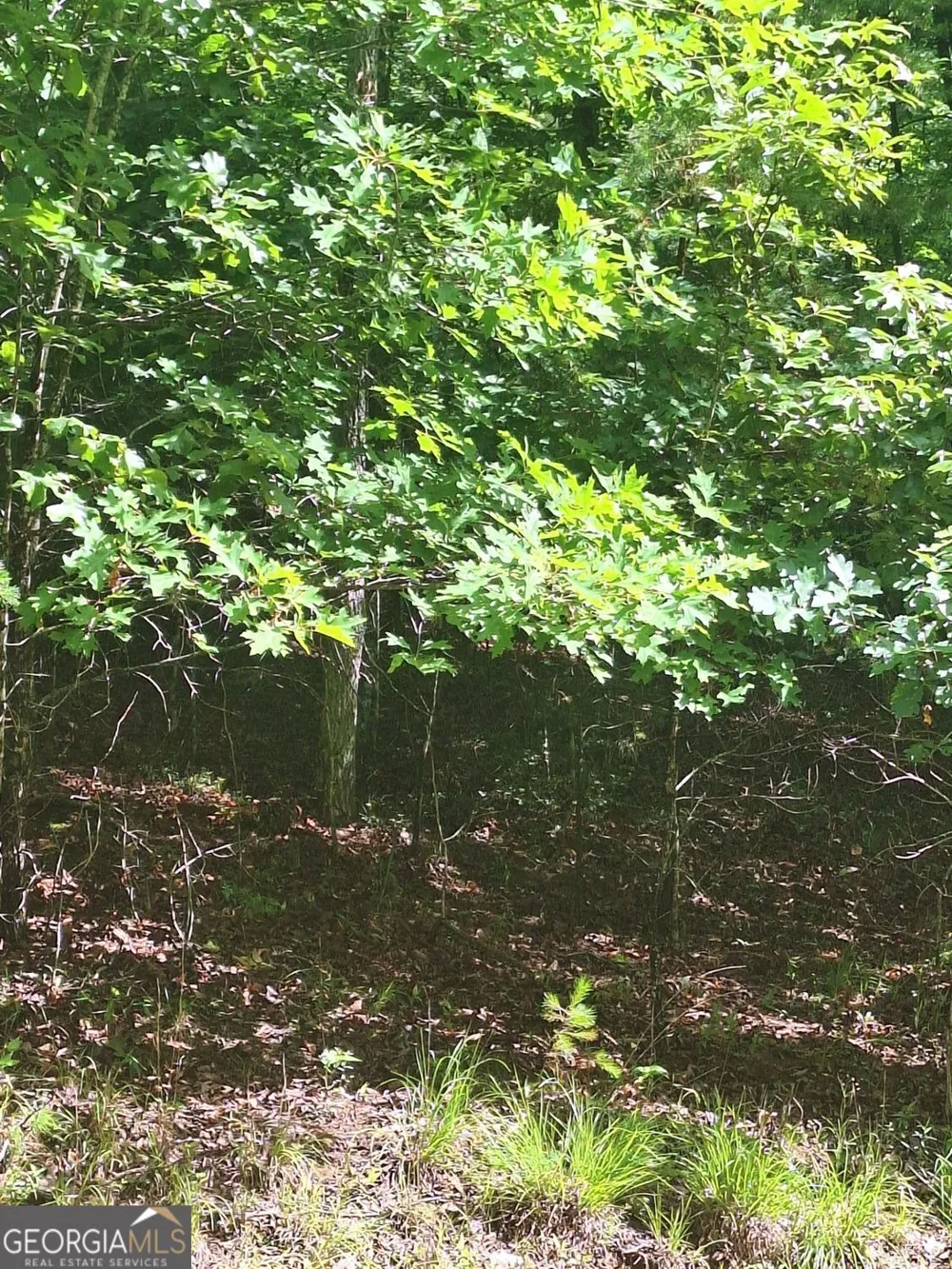 LOT 22 Meadow Brook TRL Morganton, GA 30560
