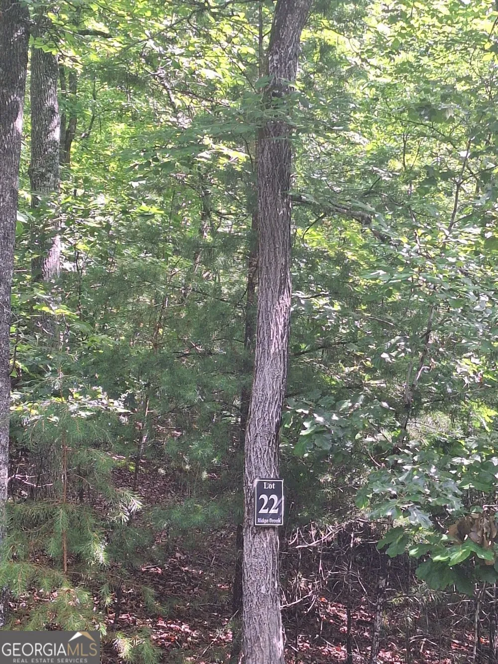 LOT 22 Meadow Brook TRL Morganton, GA 30560