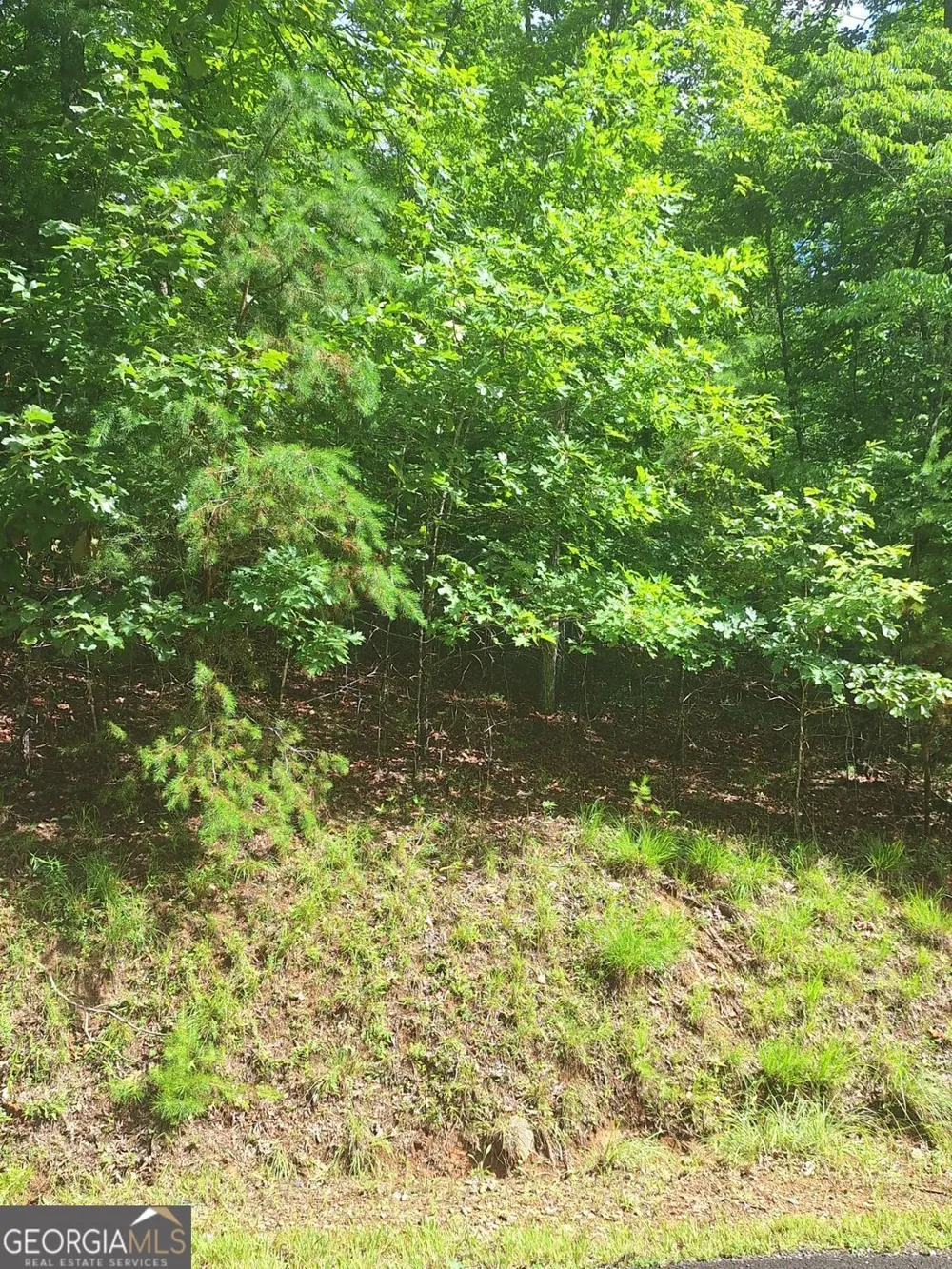 LOT 22 Meadow Brook TRL Morganton, GA 30560