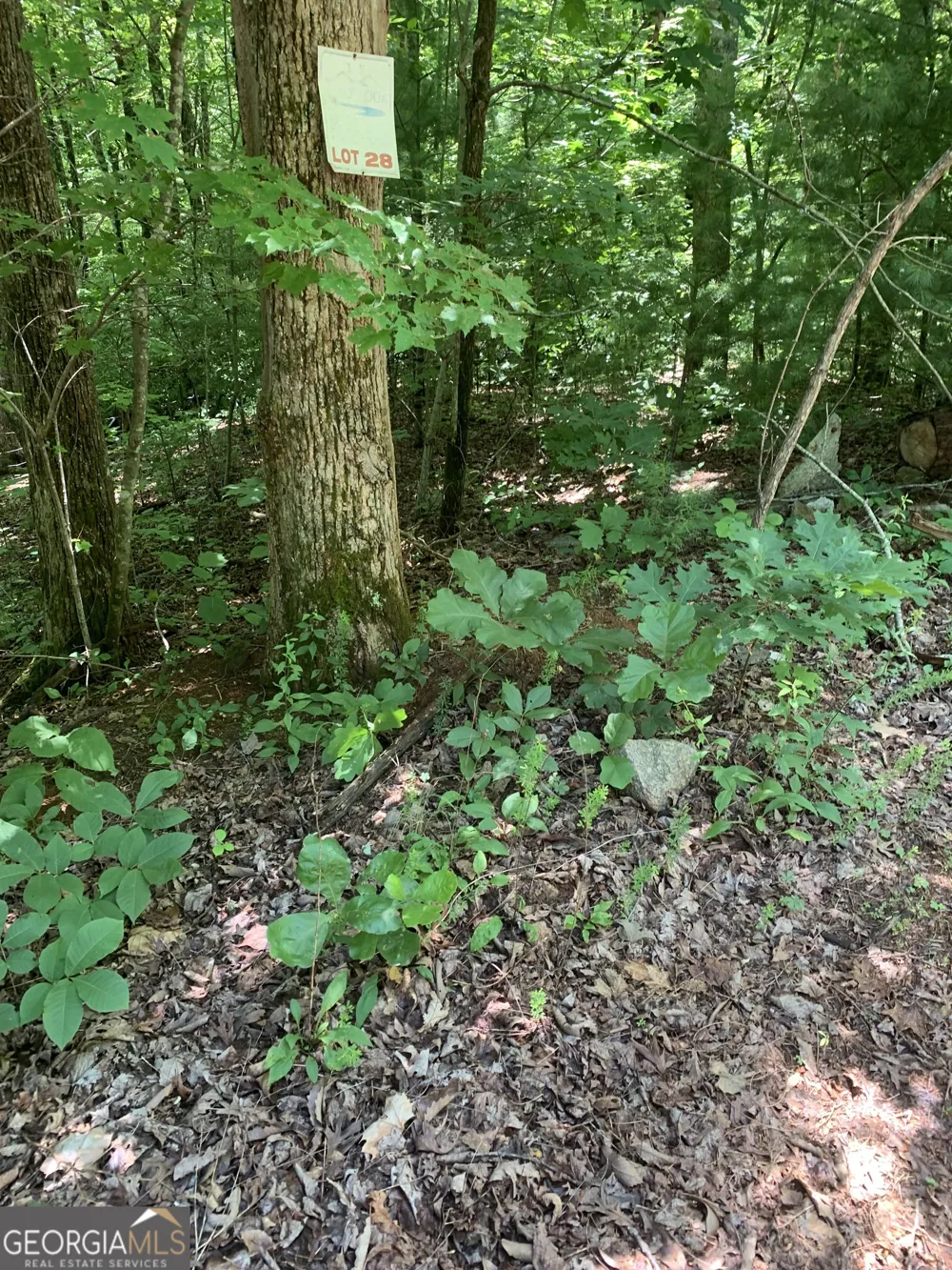LOT 28 King Mountain DR Clayton, GA 30525