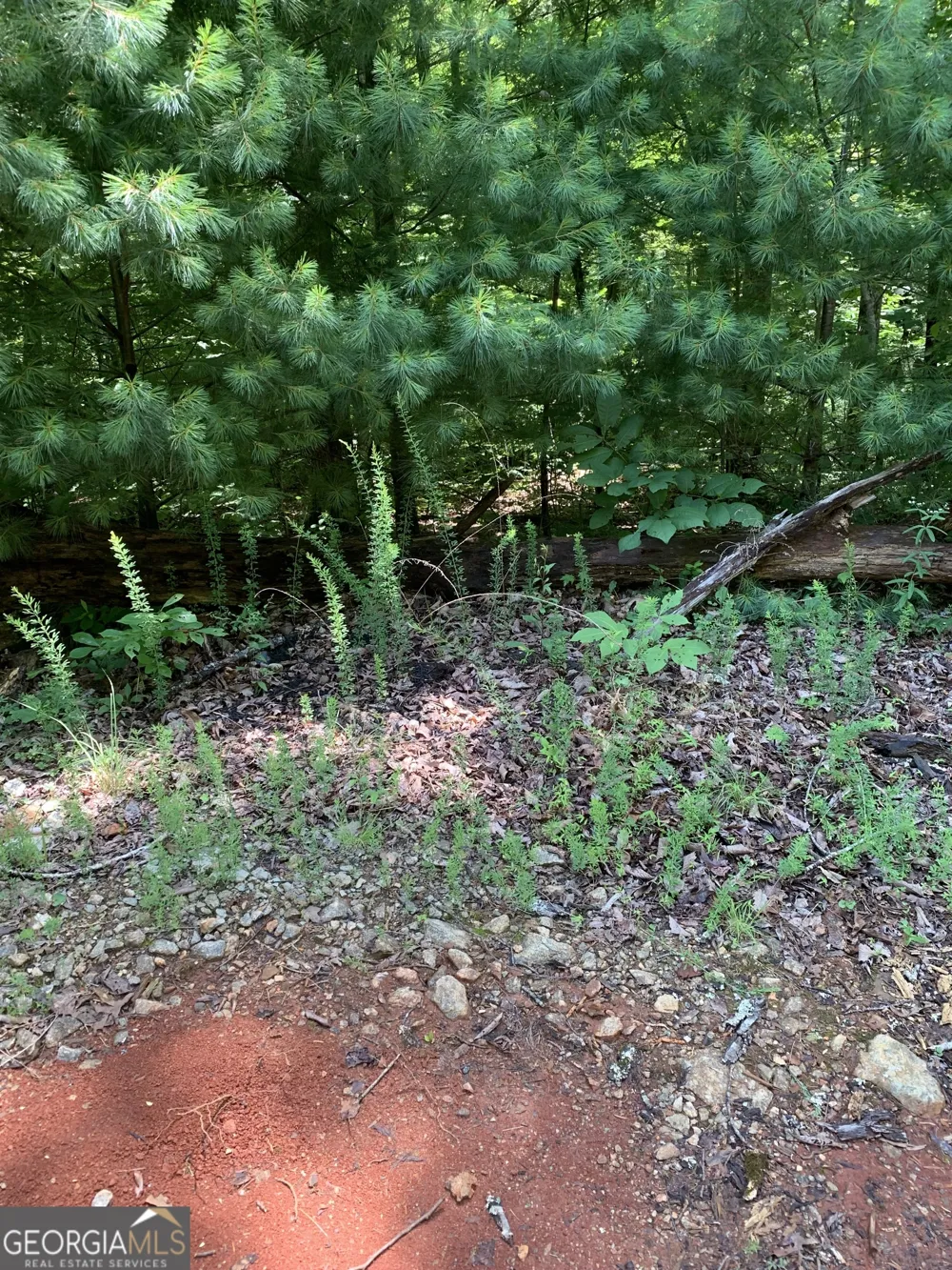LOT 28 King Mountain DR Clayton, GA 30525