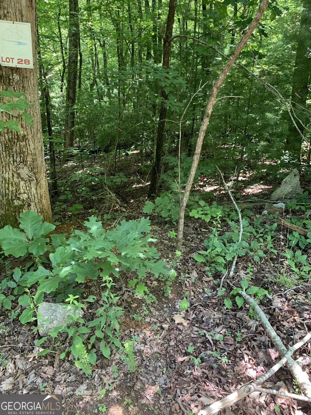 LOT 28 King Mountain DR Clayton, GA 30525