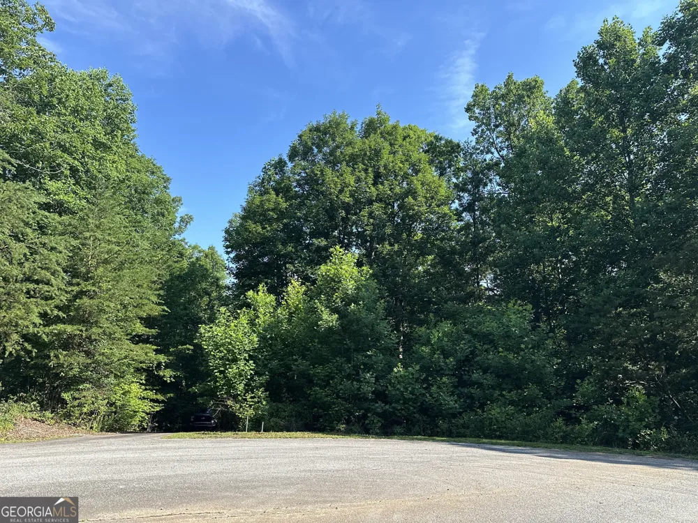 LOT 6,7,8,9,10 Clearview DR Cleveland, GA 30528