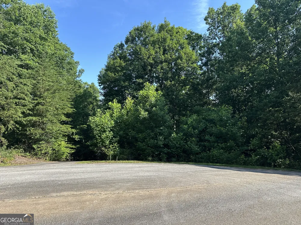 LOT 6,7,8,9,10 Clearview DR Cleveland, GA 30528