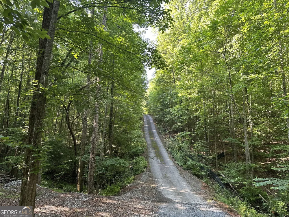 LOT 6,7,8,9,10 Clearview DR Cleveland, GA 30528