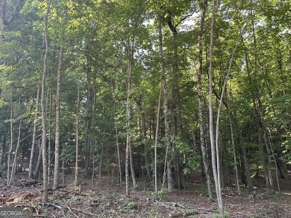LOT 6,7,8,9,10 Clearview DR Cleveland, GA 30528