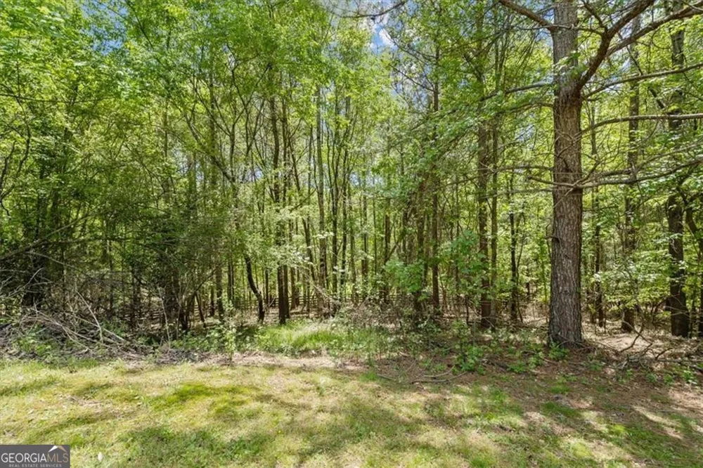 16160 Henderson RD Milton, GA 30004