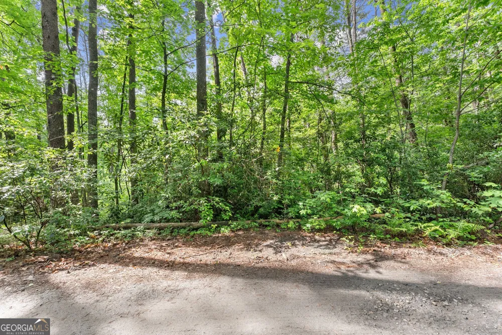 0 Sweetheart Lane Sautee Nacoochee, GA 30571