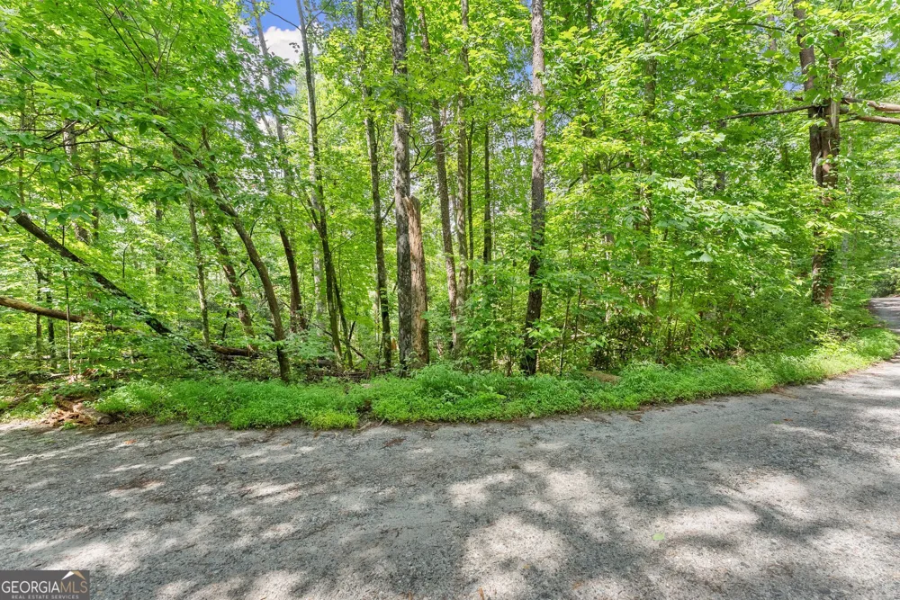 0 Sweetheart Lane Sautee Nacoochee, GA 30571