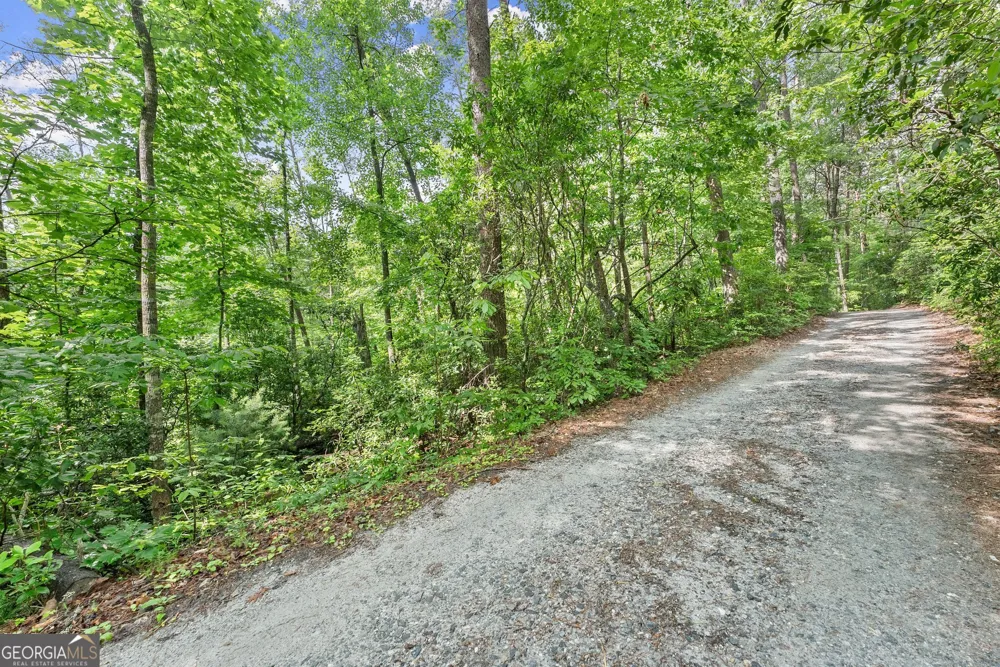0 Sweetheart Lane Sautee Nacoochee, GA 30571