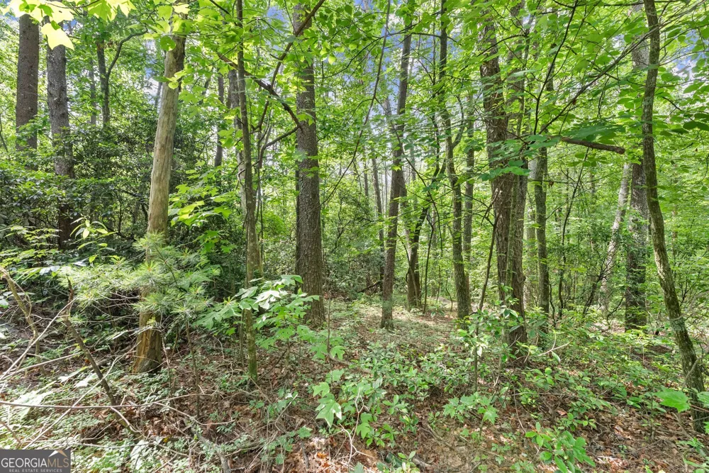 0 Sweetheart Lane Sautee Nacoochee, GA 30571