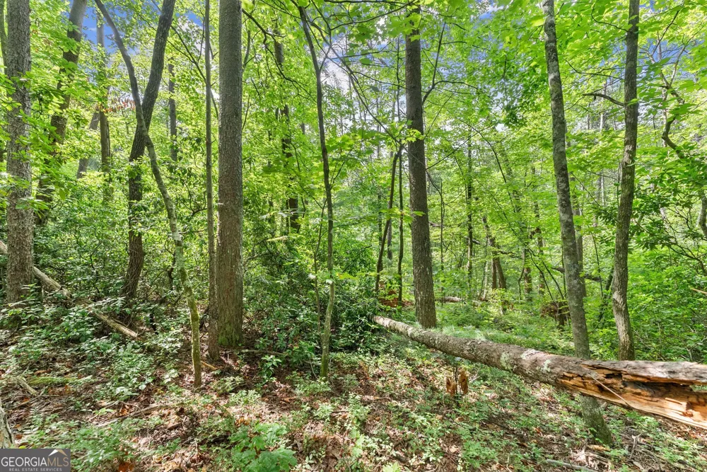 0 Sweetheart Lane Sautee Nacoochee, GA 30571