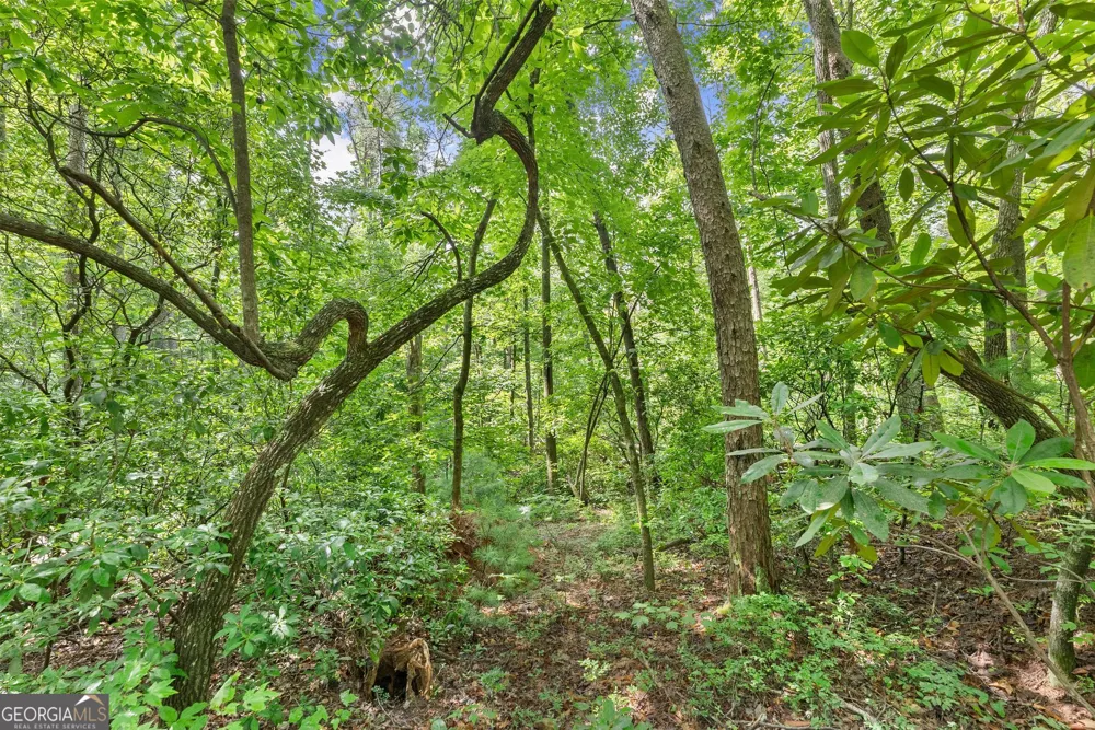 0 Sweetheart Lane Sautee Nacoochee, GA 30571