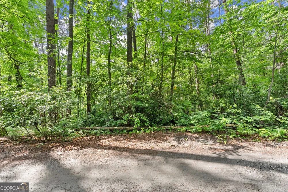 0 Sweetheart Lane Sautee Nacoochee, GA 30571