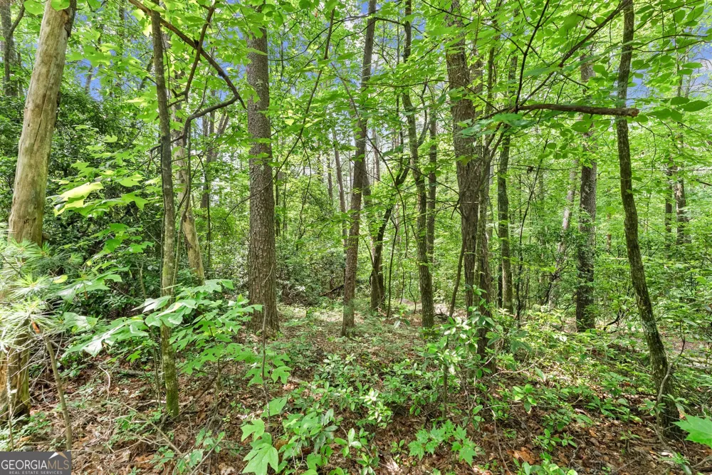 0 Sweetheart Lane Sautee Nacoochee, GA 30571