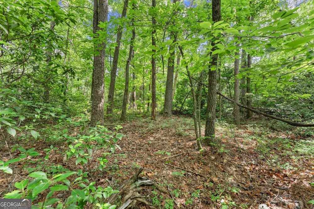 0 Sweetheart Lane Sautee Nacoochee, GA 30571