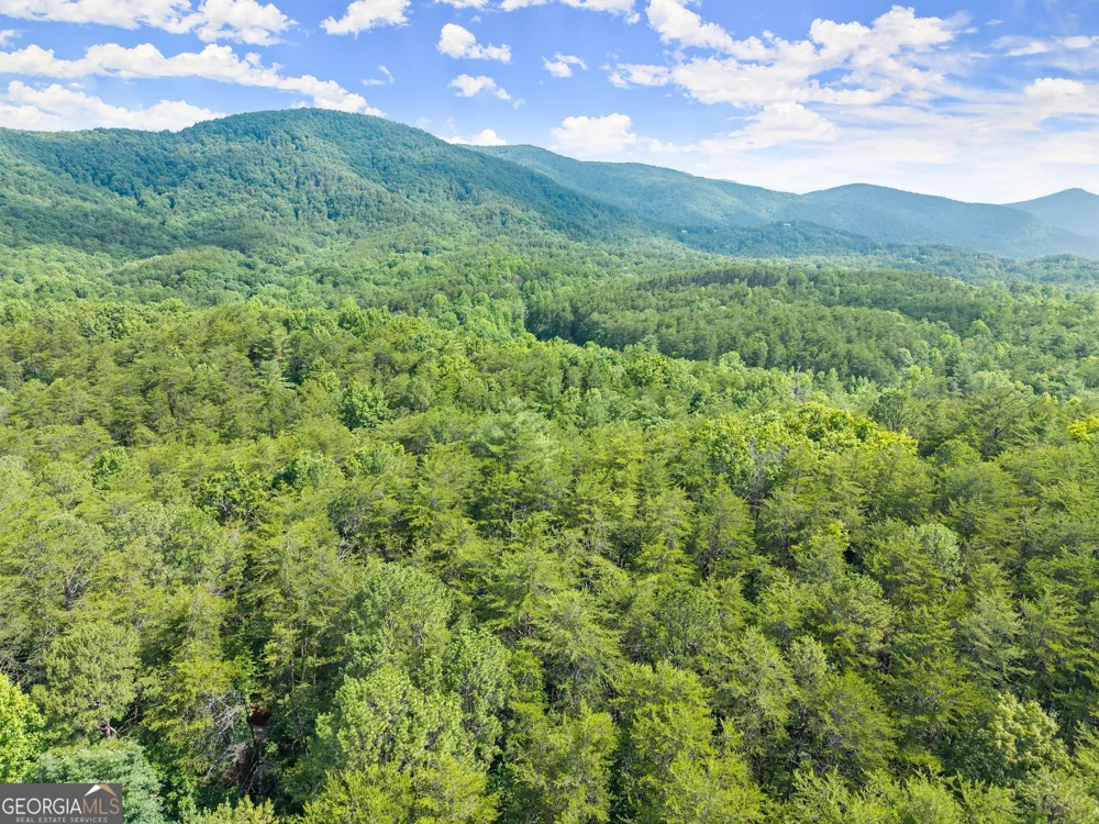 0 Sweetheart Lane Sautee Nacoochee, GA 30571