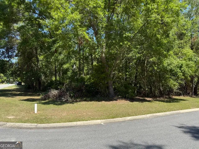 V/L 902, 0 Teather DR St. Marys, GA 31558