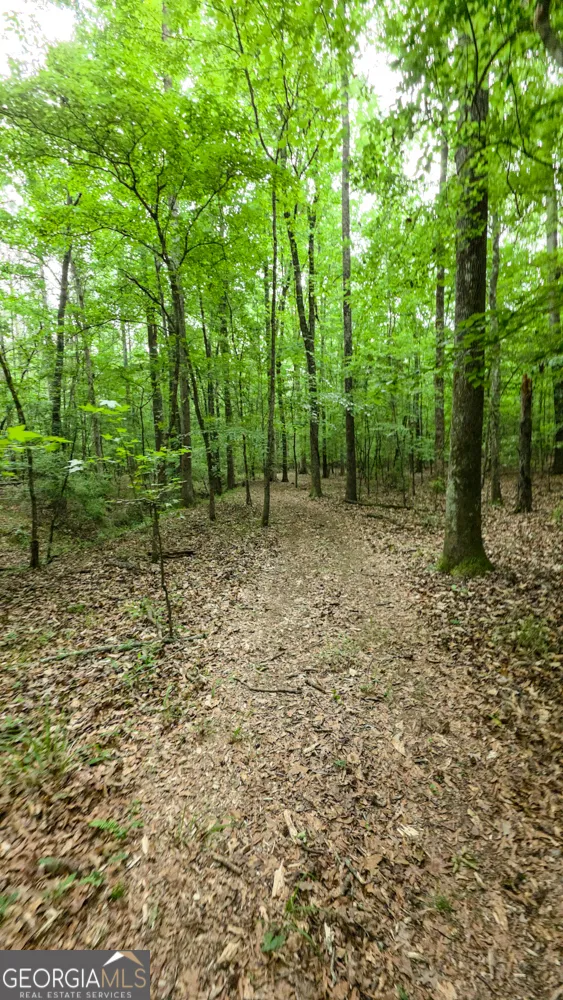 420 PADGETT RD Senoia, GA 30276