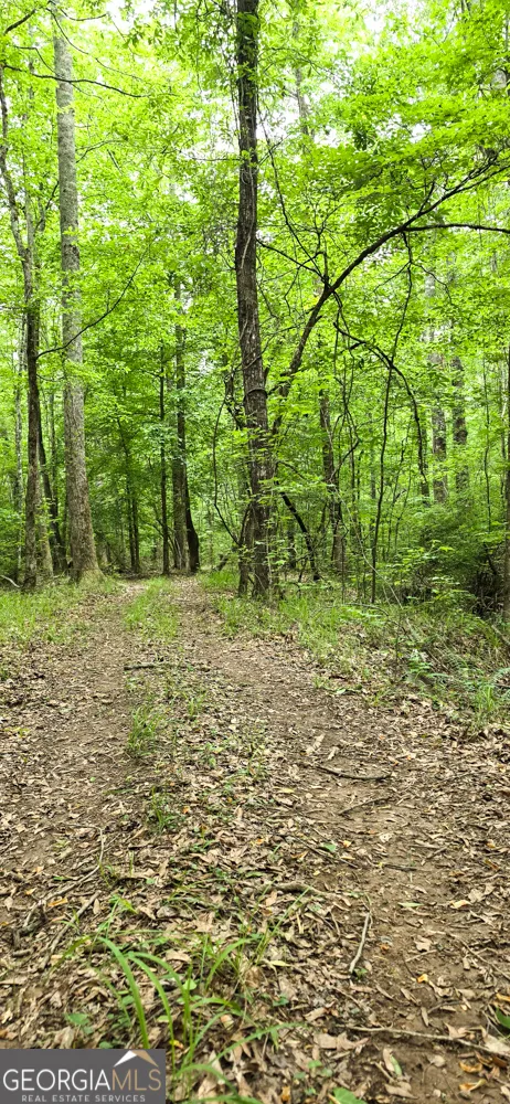 420 PADGETT RD Senoia, GA 30276