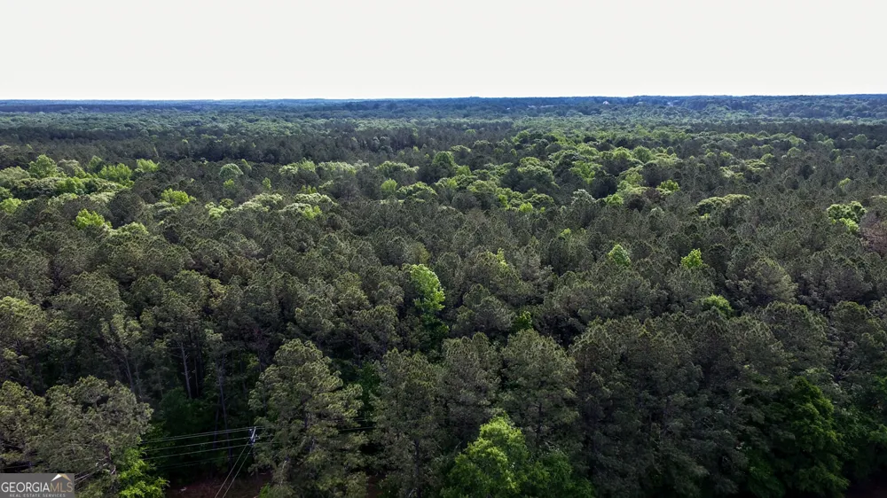 420 PADGETT RD Senoia, GA 30276