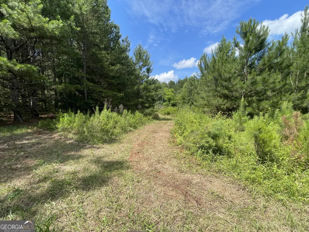 0 Fallen Branch CIR Rome, GA 30161