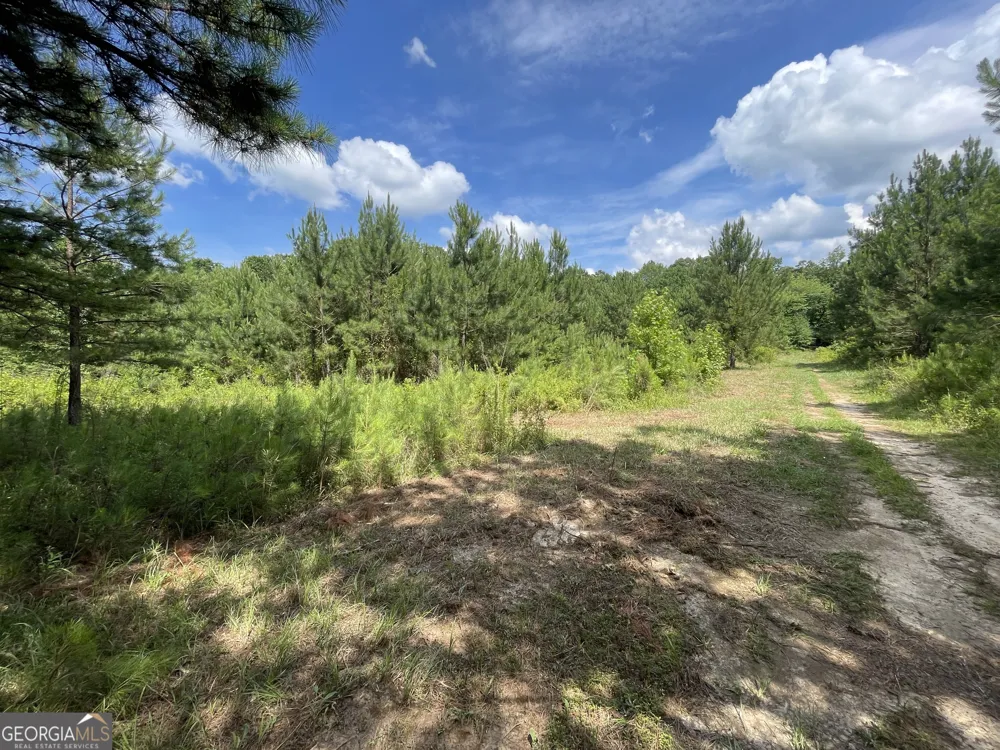 0 Fallen Branch CIR Rome, GA 30161