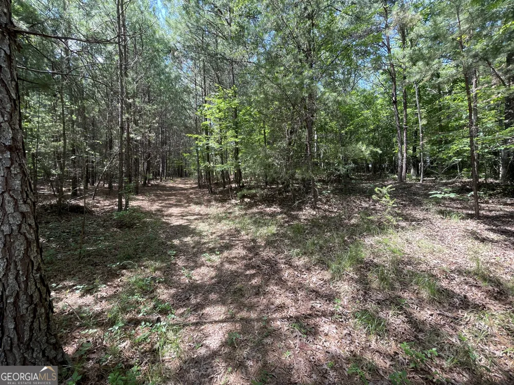 0 Fallen Branch CIR Rome, GA 30161