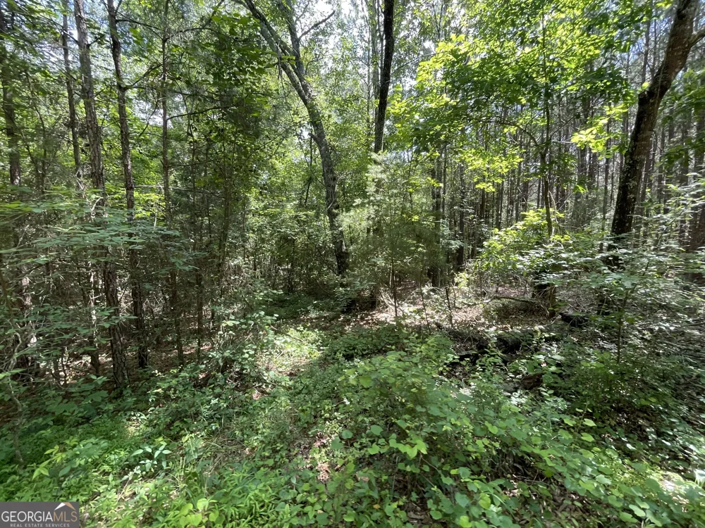 0 Fallen Branch CIR Rome, GA 30161