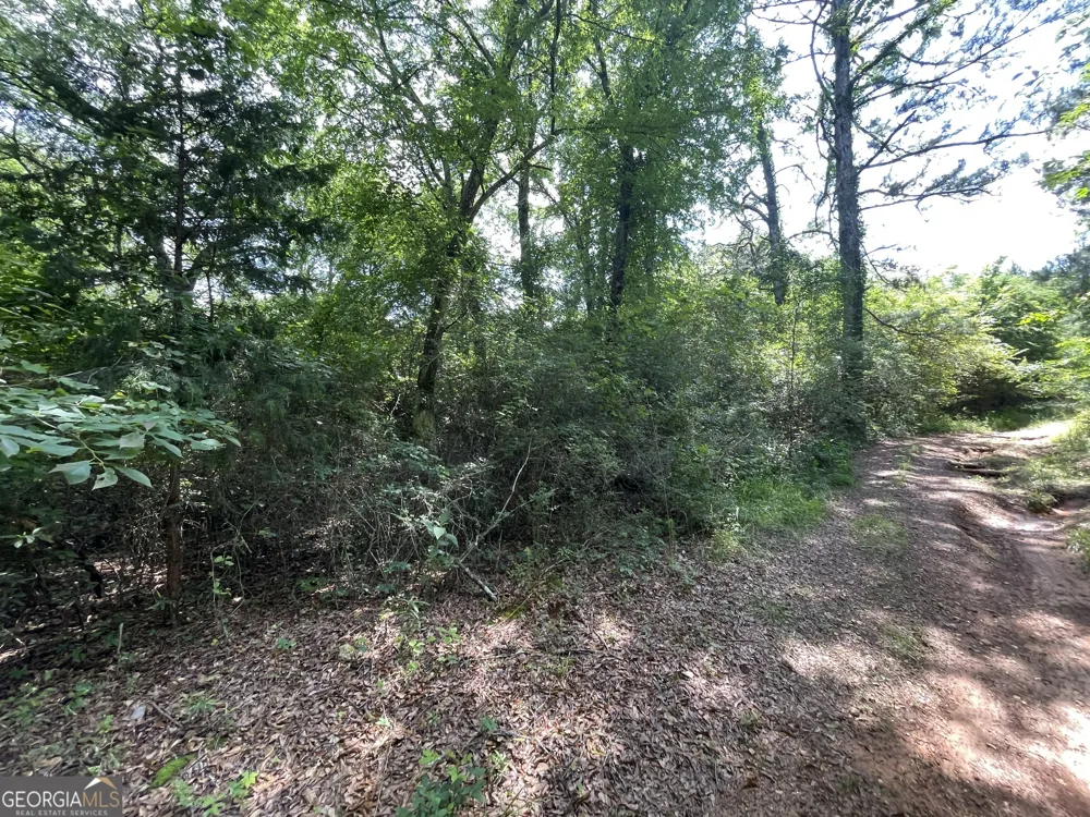 0 Fallen Branch CIR Rome, GA 30161