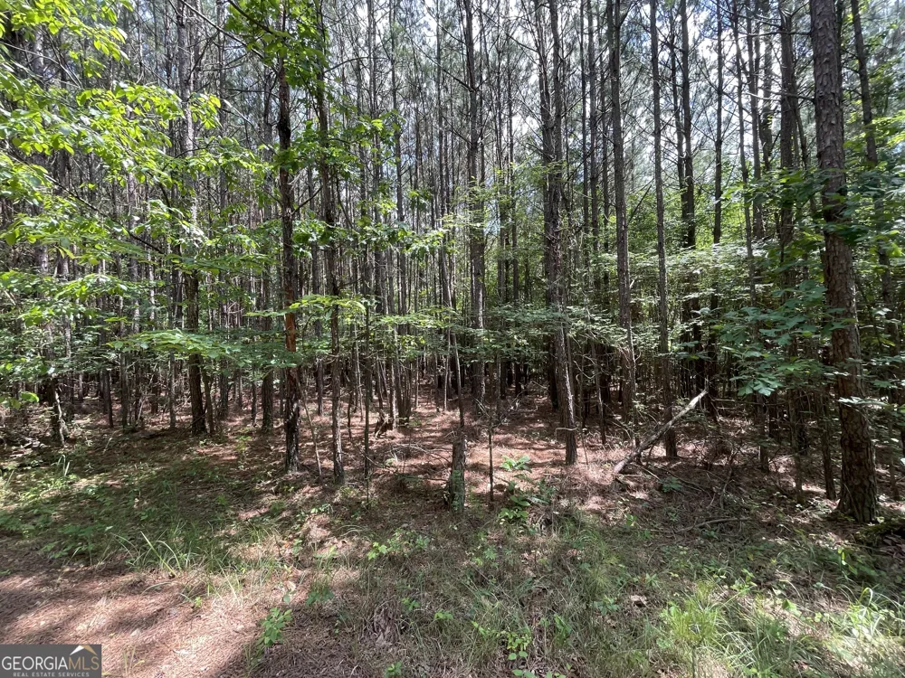 0 Fallen Branch CIR Rome, GA 30161