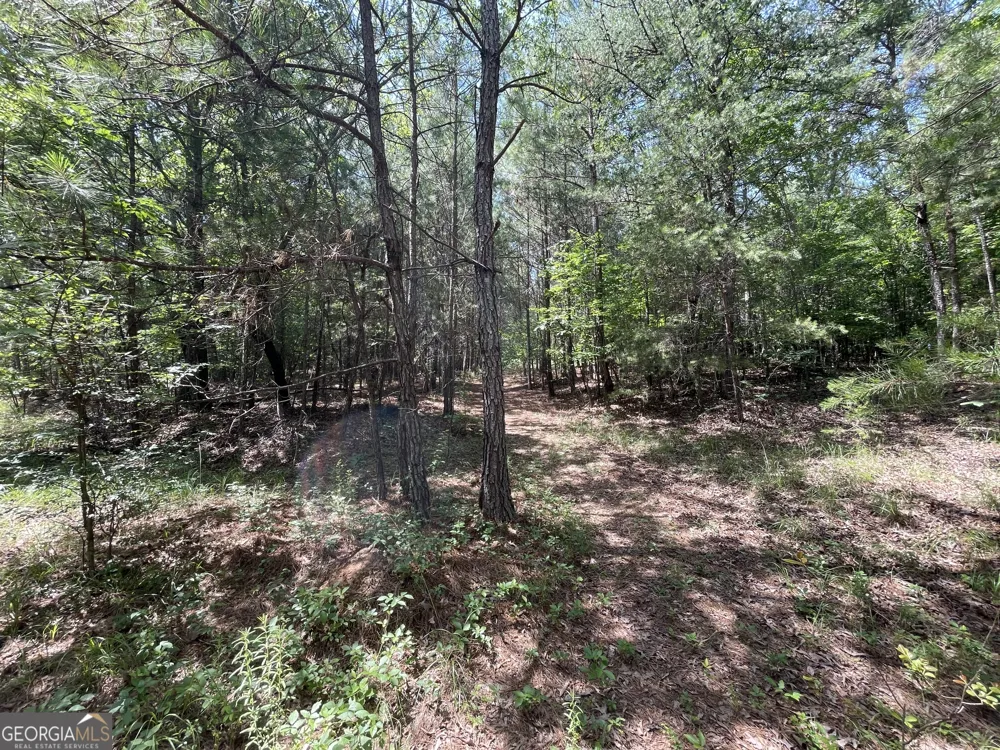 0 Fallen Branch CIR Rome, GA 30161