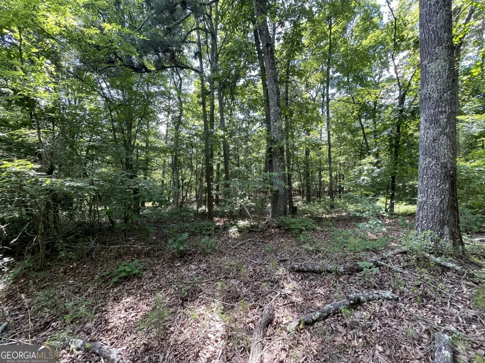 0 Fallen Branch CIR Rome, GA 30161