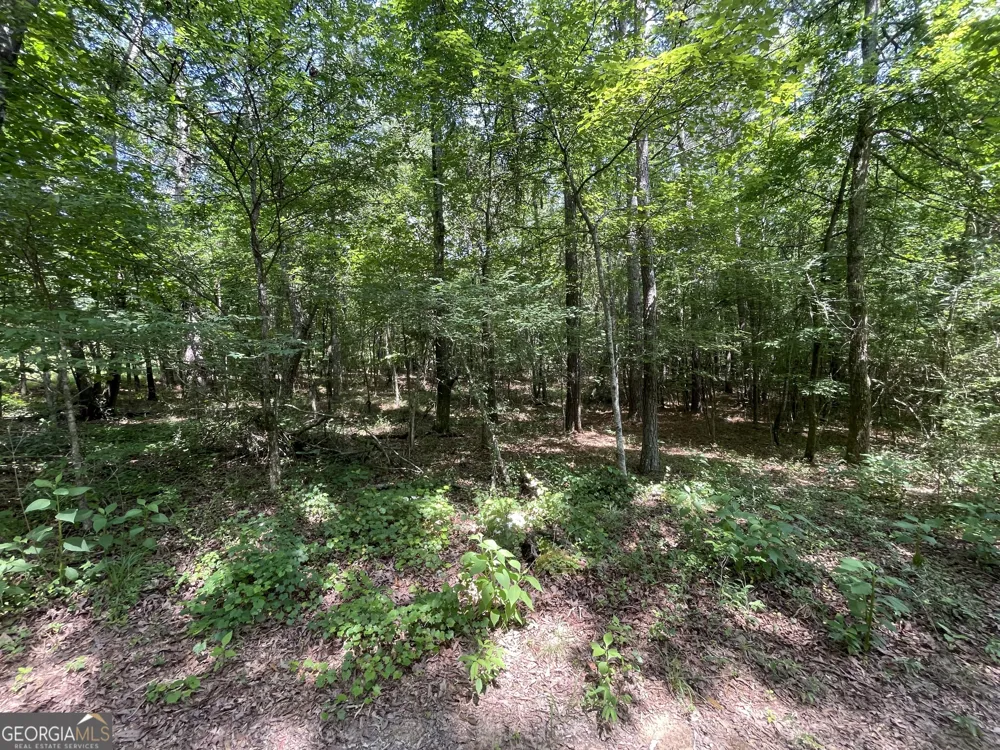 0 Fallen Branch CIR Rome, GA 30161