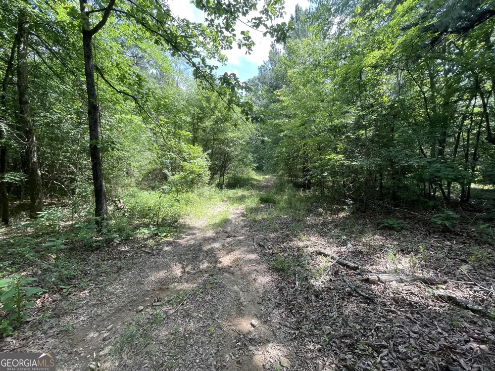0 Fallen Branch CIR Rome, GA 30161