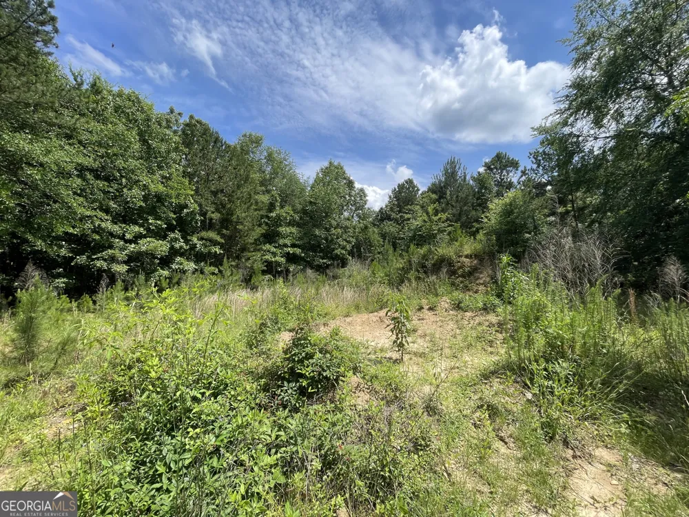 0 Fallen Branch CIR Rome, GA 30161