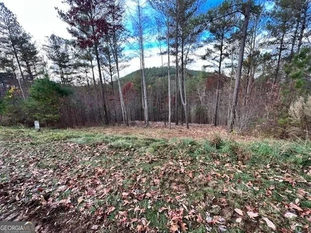 0 Ridge Peak View Blairsville, GA 30512