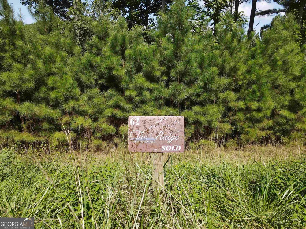 0 Ridge Peak View Blairsville, GA 30512