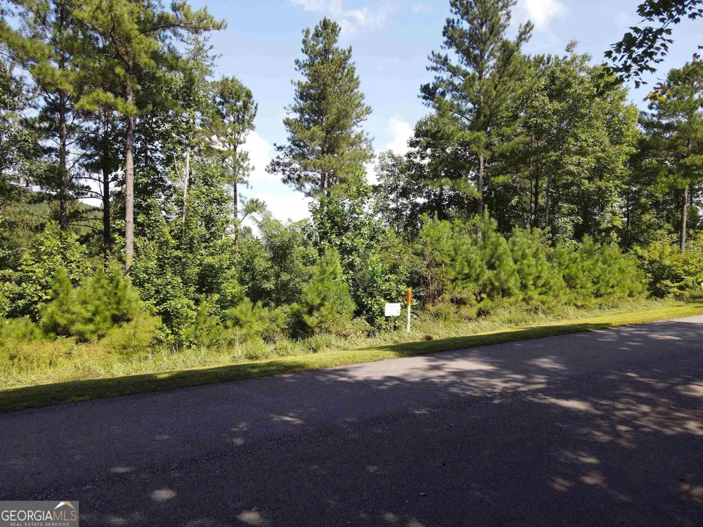 0 Ridge Peak View Blairsville, GA 30512