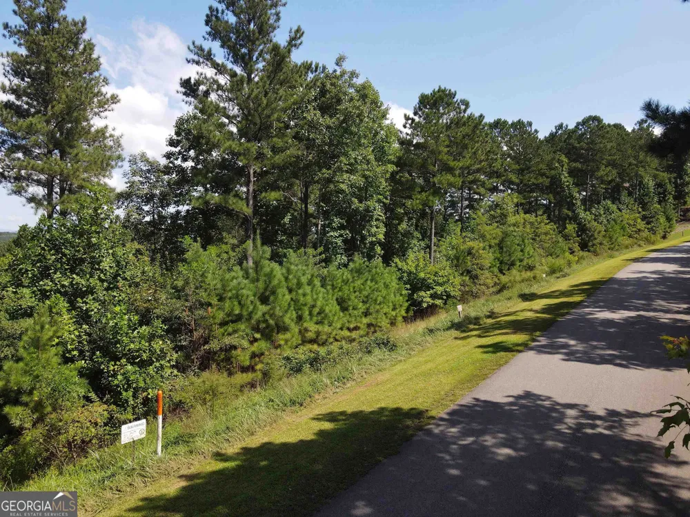 0 Ridge Peak View Blairsville, GA 30512