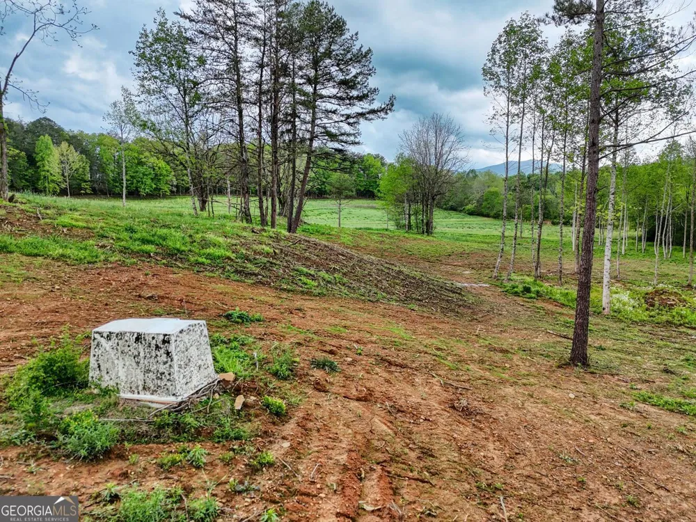 0 Shuler RD Blairsville, GA 30512