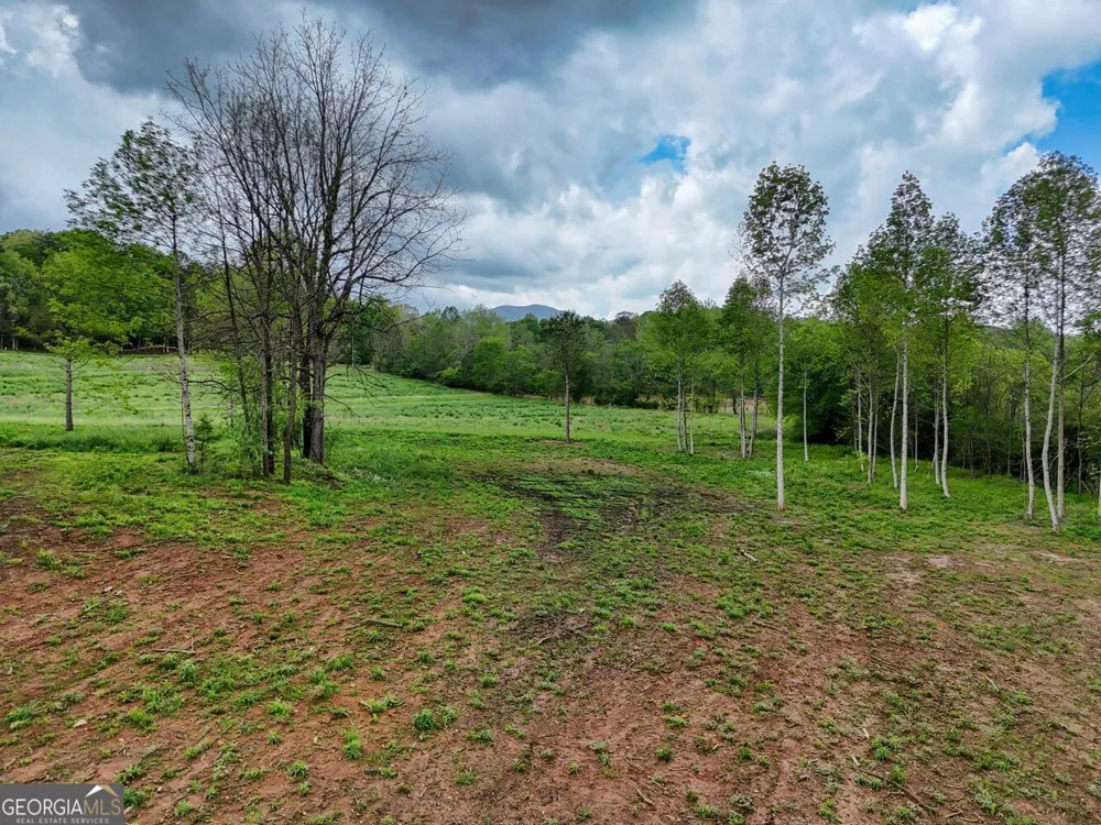 0 Shuler RD Blairsville, GA 30512