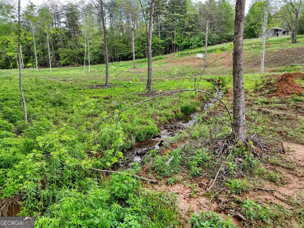 0 Shuler RD Blairsville, GA 30512