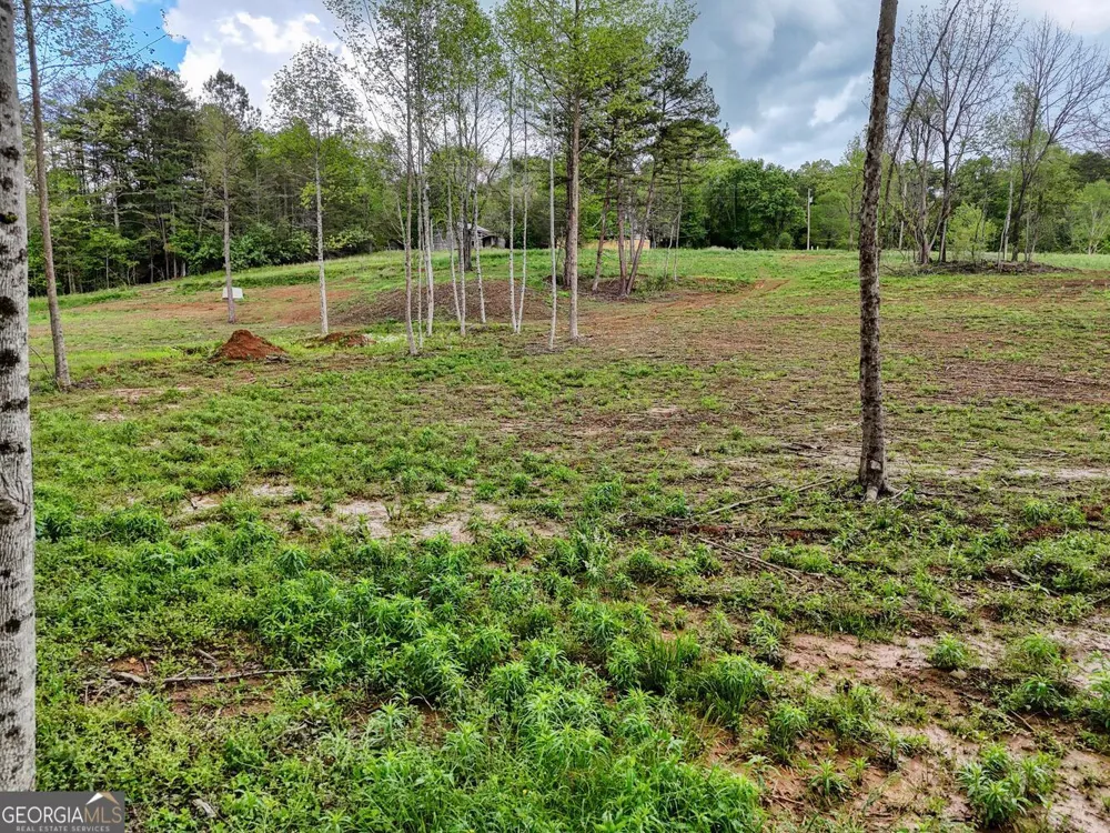 0 Shuler RD Blairsville, GA 30512