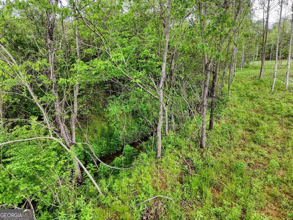 0 Shuler RD Blairsville, GA 30512