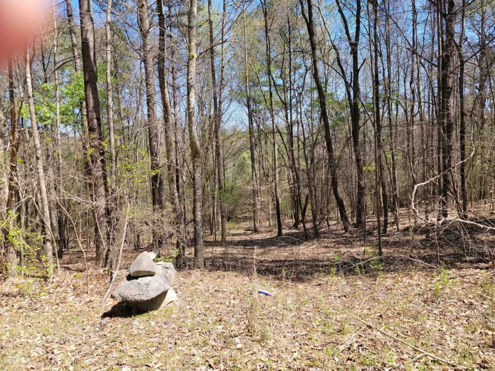 0 Sand Pit RD Summerville, GA 30747